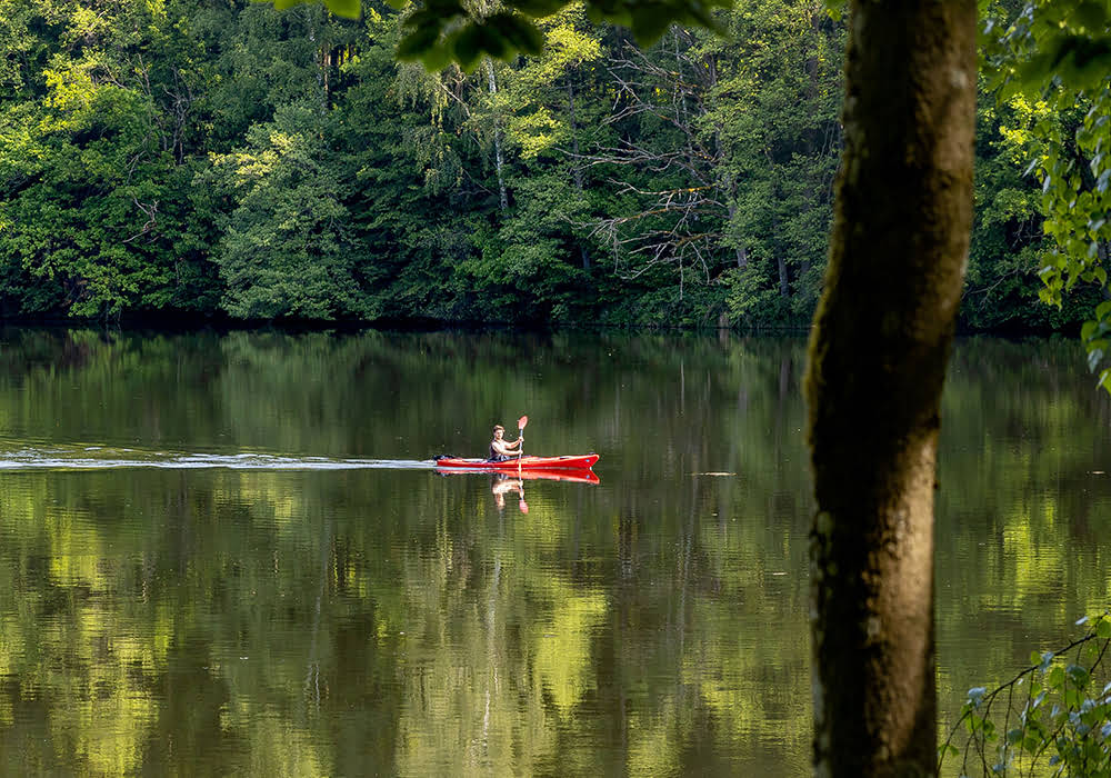 das-dreiburgensee-wellness-ansicht-rudern